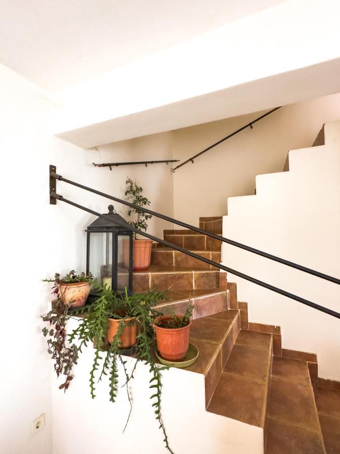 亚历山德鲁波利斯The Early Bird - Cosy 2-Floor House With Garden别墅 外观 照片