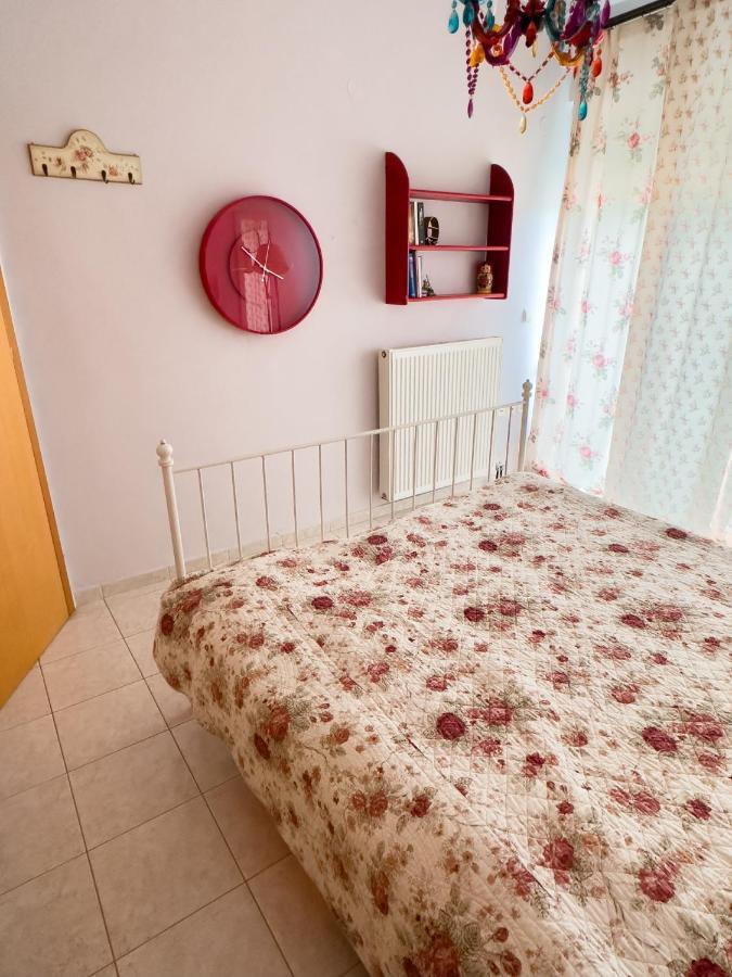 亚历山德鲁波利斯The Early Bird - Cosy 2-Floor House With Garden别墅 外观 照片